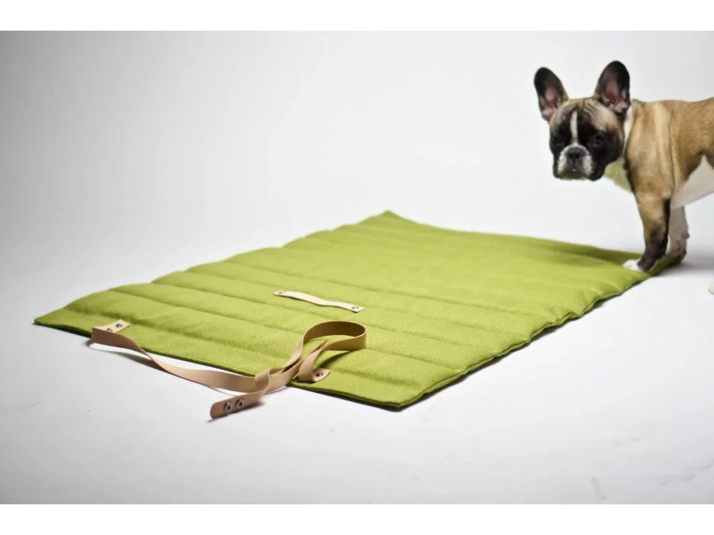 Travel Dog Blanket - Pistachio