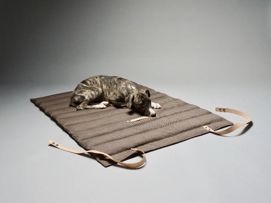 Travel Dog Blanket - Brown