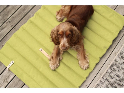 Travel Dog Blanket - Pistachio