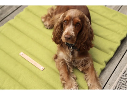 Travel Dog Blanket - Pistachio