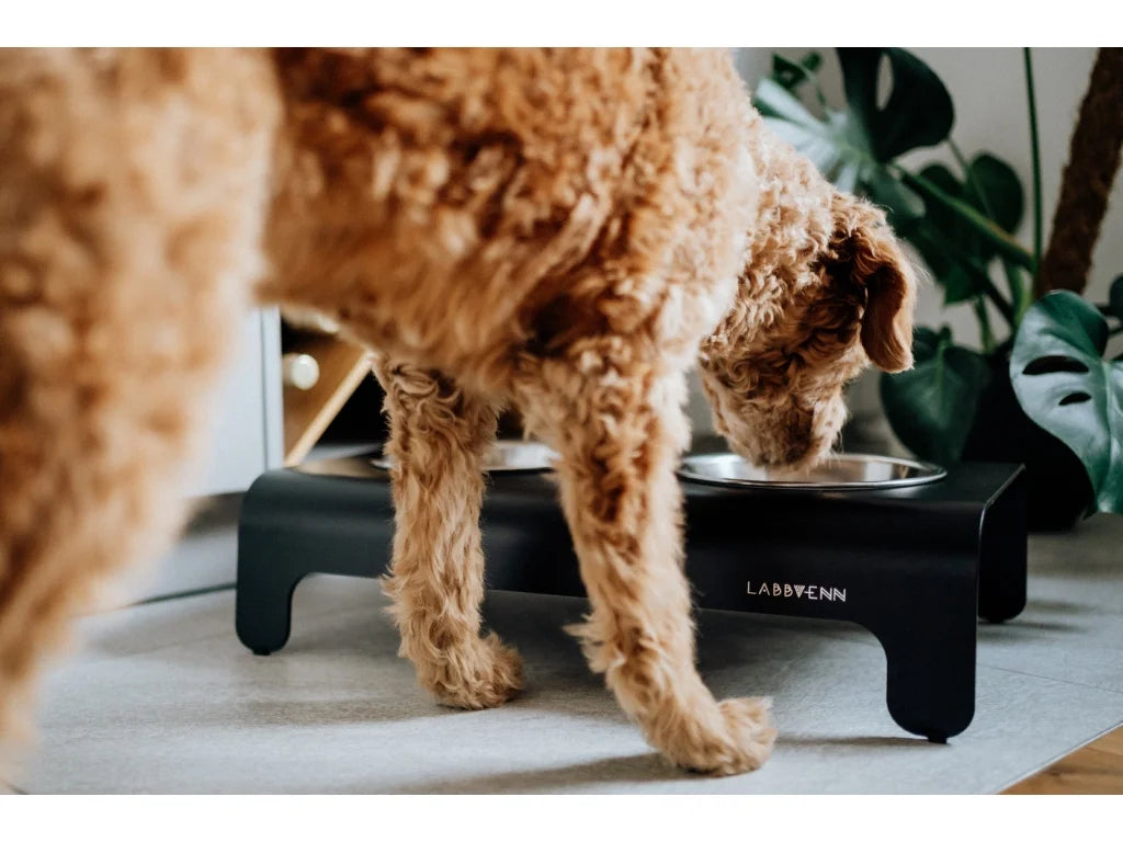 Dog Bowl - Black