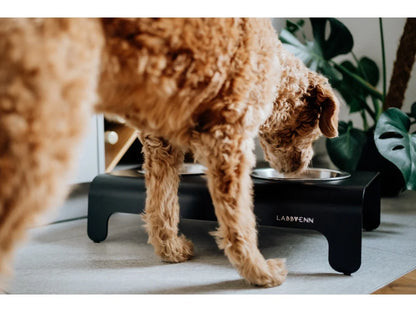 Dog Bowl - Black