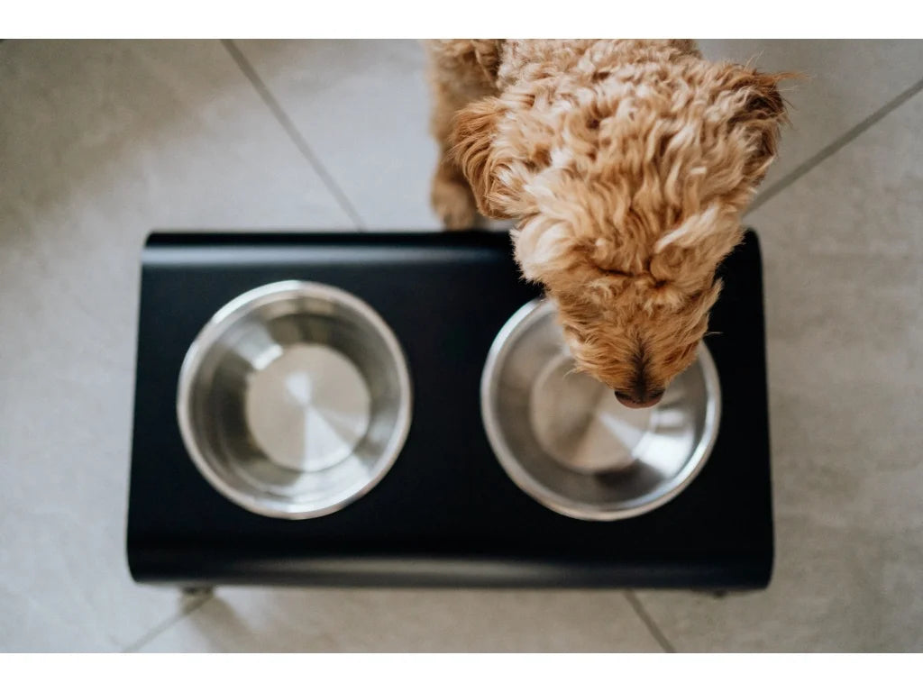 Dog Bowl - Black
