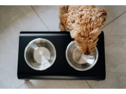 Dog Bowl - Black