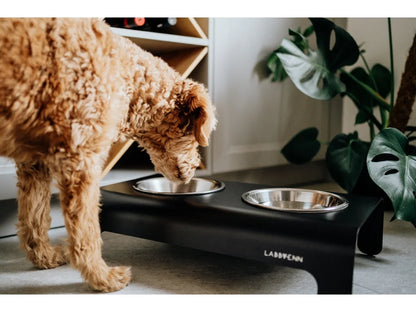 Dog Bowl - Black
