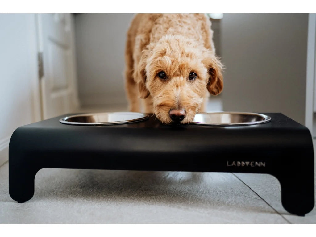 Dog Bowl - Black