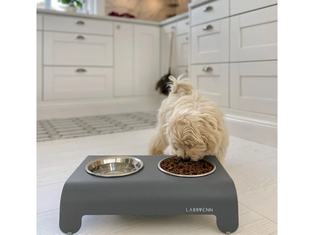Dog Bowl - Grey