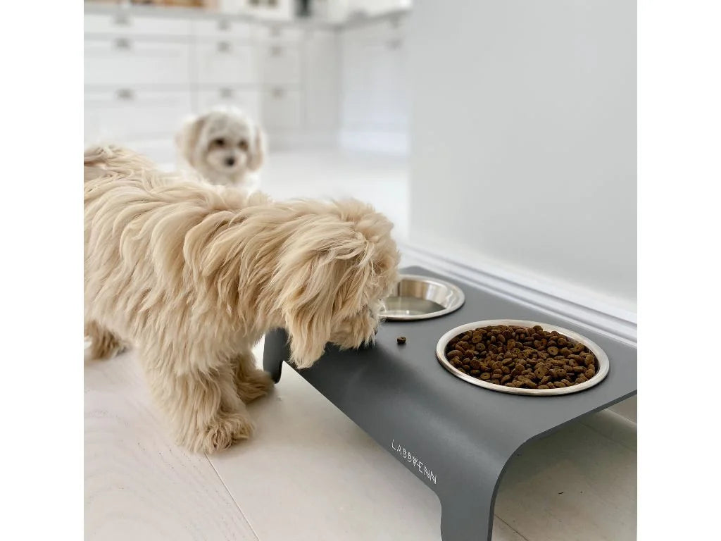 Dog Bowl - Grey