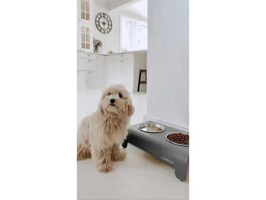 Dog Bowl - Grey