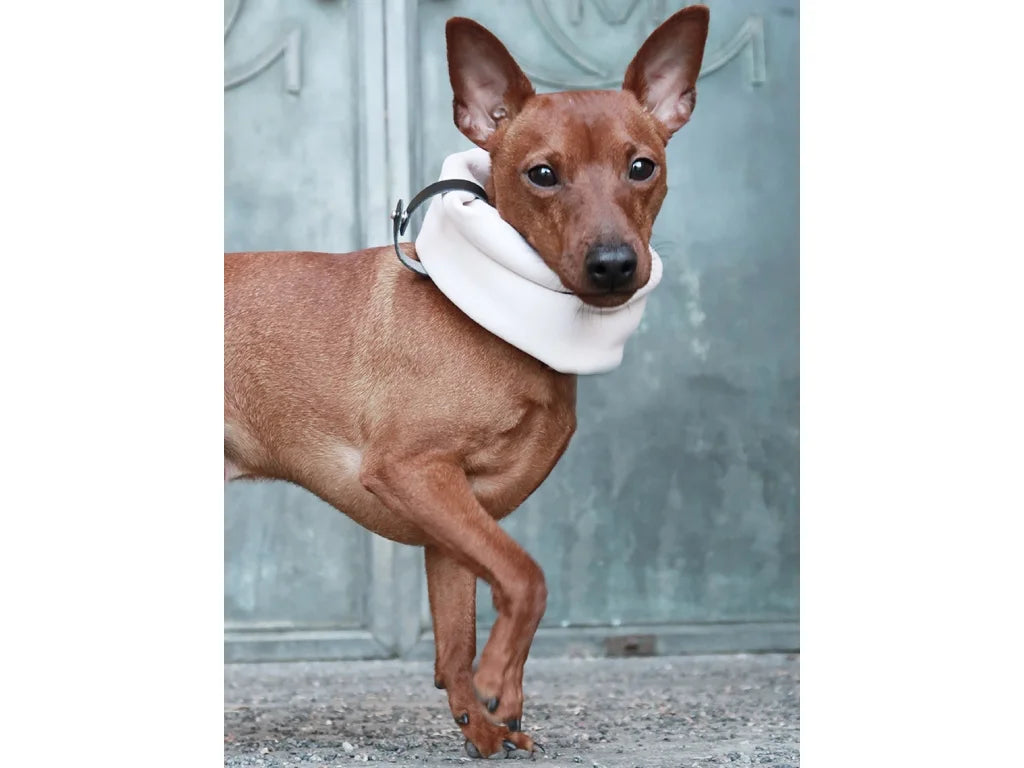 Dog Neck Warmer - White