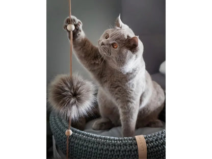 Cat Toy - Anthracite